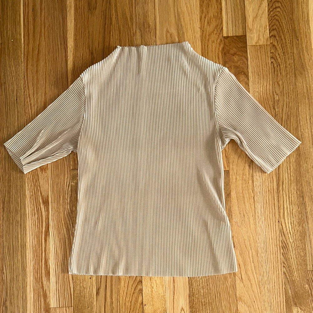 Tan Blouse